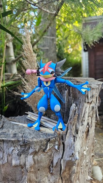 Super figurine Pokemon Nintendo mega-Amphinobi