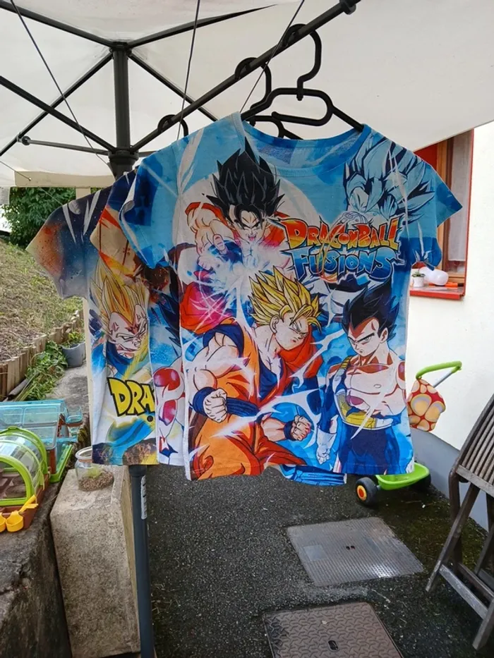 Lot dragon ball jumeaux triplé