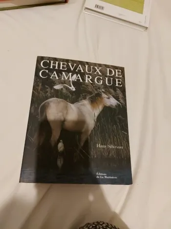 Chevaux camargues