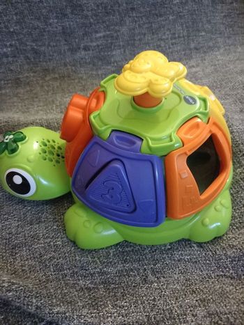 Ma tortue tourni-formes