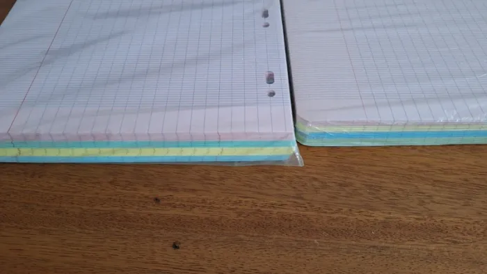 Feuilles seyes classeur 4 couleurs - photo numéro 2
