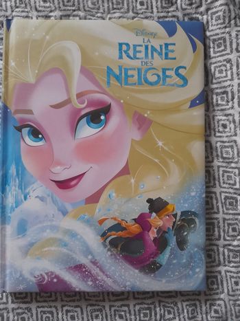Grand livre reine des neiges