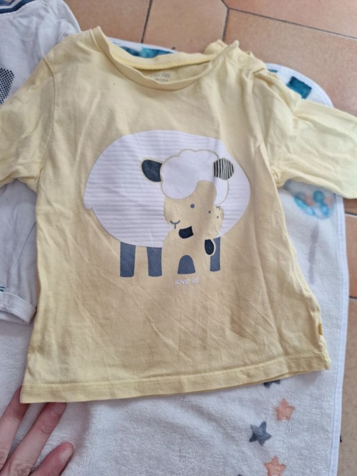 Lot de 5 Tee-shirt Obaïbi - photo numéro 6