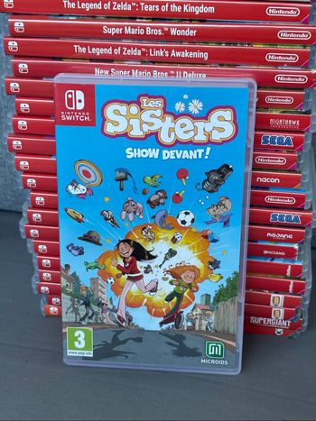 Les sisters 2 switch