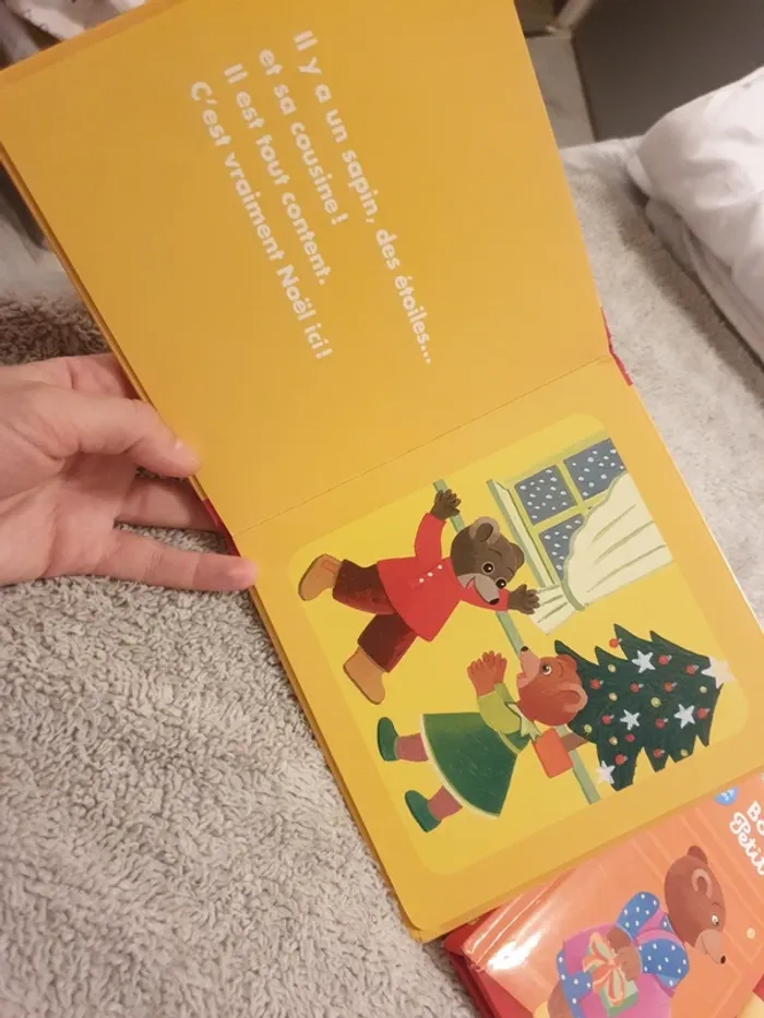 Livres  petit ours brun - photo numéro 2
