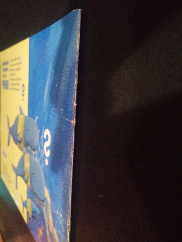 Livre souple madeleine à de la peine - photo numéro 3