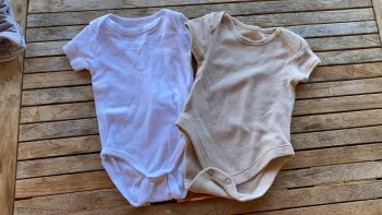Lot de 2 bodies manches courtes - 3 mois