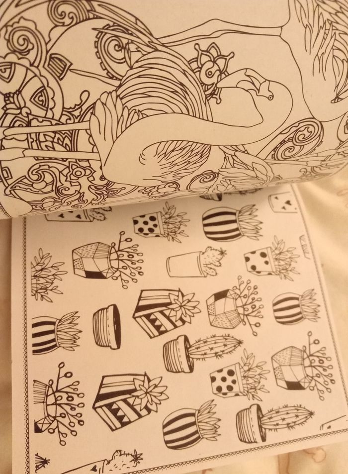 Coloriage "Créative colouring" - photo numéro 4