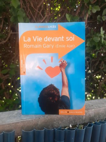 La vie devant soi