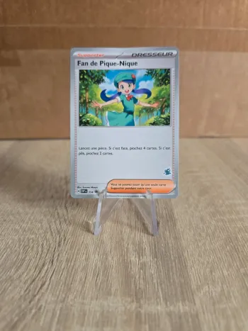 Fan de pique-nique 114 promo