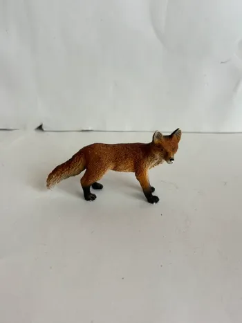 Renard Schleich