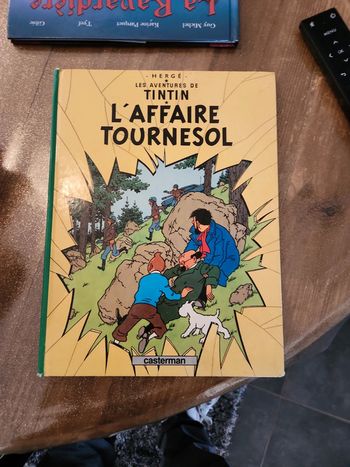 Bande dessinée : Les aventures de Tintin