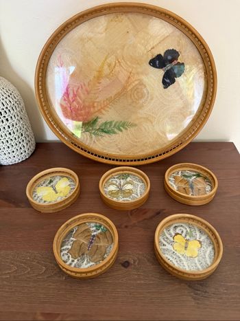 Plateau avec 5 sous verres motifs papillons - Vintage