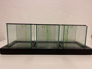 Photophore triple en verre sur plateau en bois