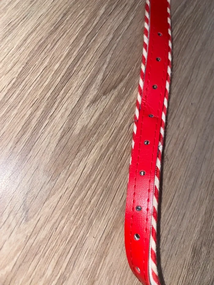 Ceinture modèle Pin-up - photo numéro 3