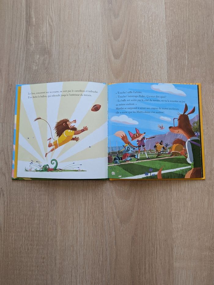 Lot 2 livres enfant Esprit Sportif - photo numéro 4
