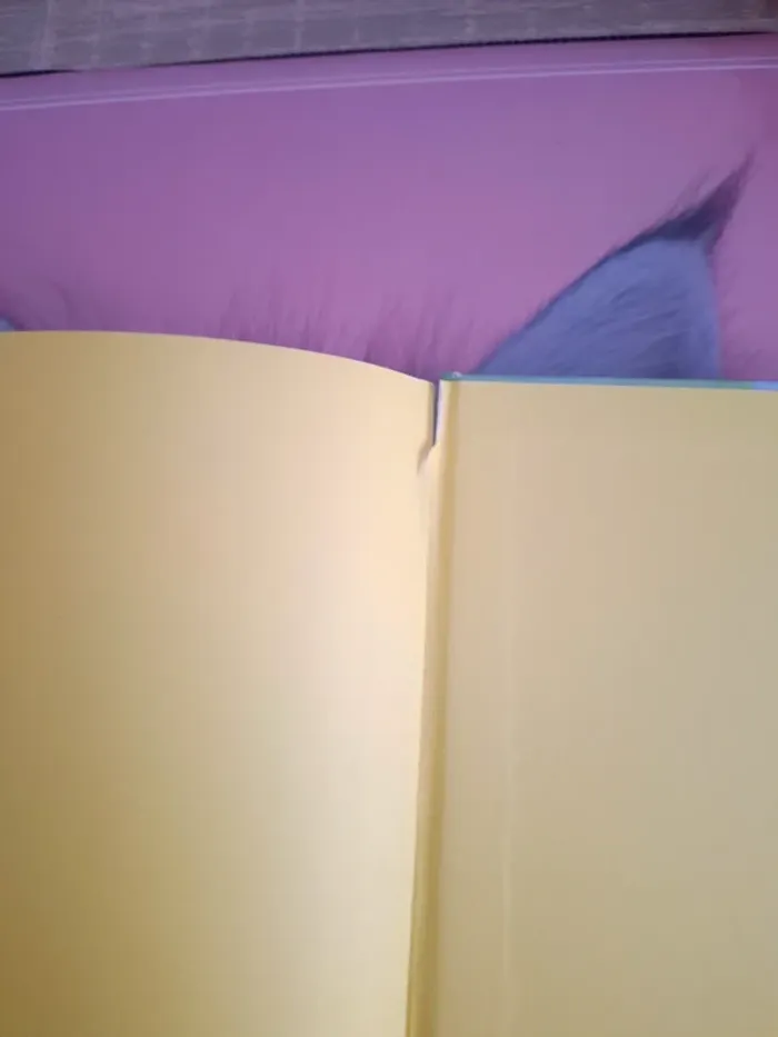 Livre Disney / Rox et Rouky - photo numéro 5