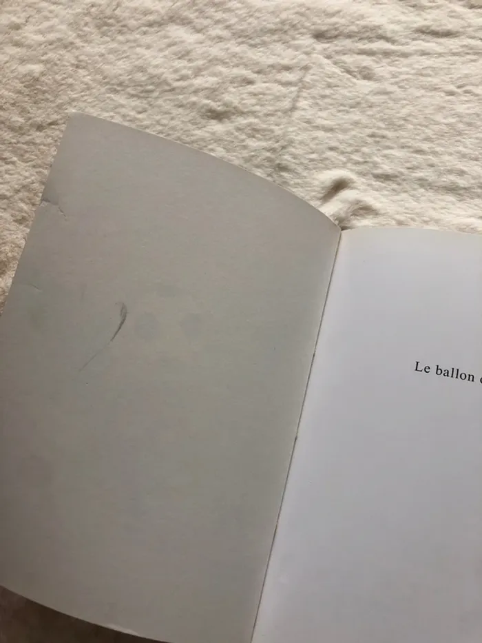 Le ballon de Tibi - Nathan premiers romans - photo numéro 4