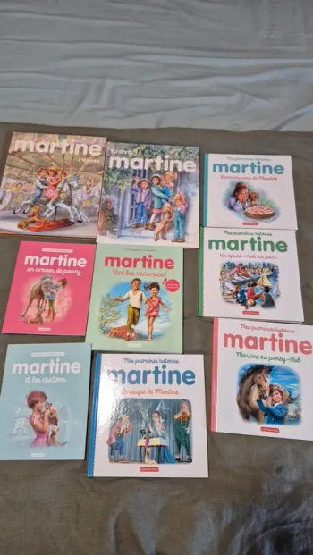 Grand lot livres martine