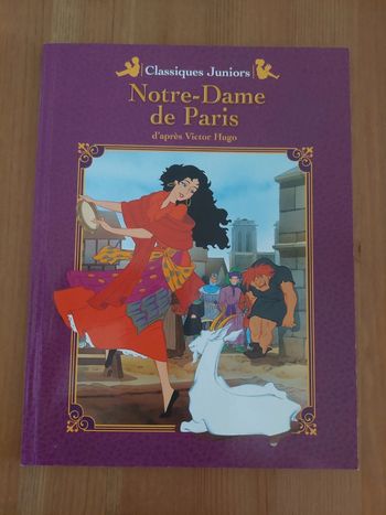Livre Notre-Dame de Paris