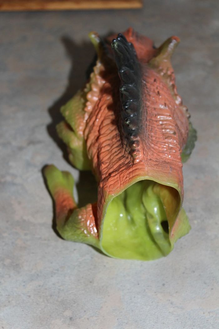 tête dinosaure - photo numéro 3