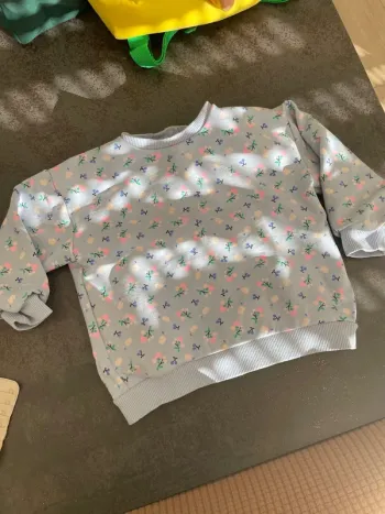 Sweat bleu ciel imprimé fruits
