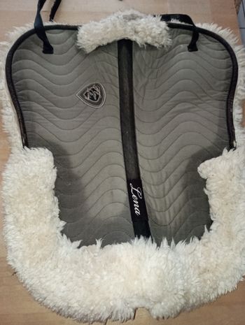 Amortisseur de selle