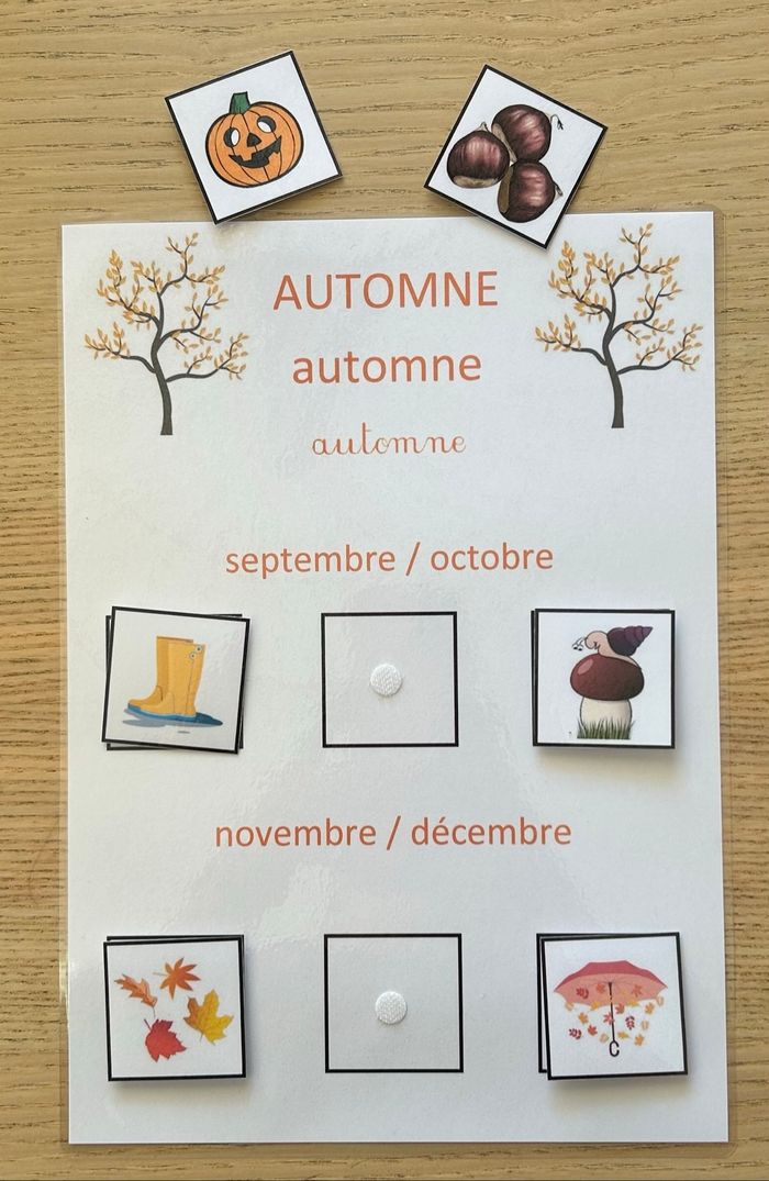 Lot 4 fiches Montessori : Les saisons - photo numéro 10