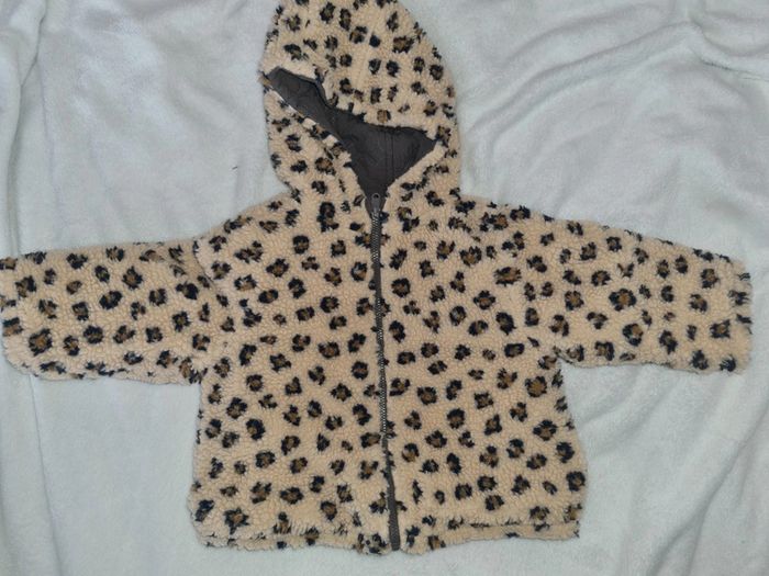 Manteau - photo numéro 4