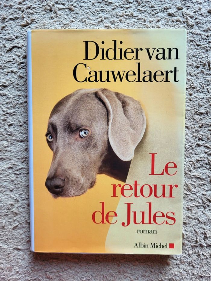 Livre Le retour de Jules de Didier Van Cauwelaert
