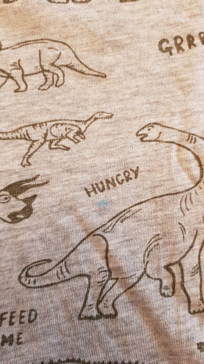 Tee shirt dinosaure 2-4ans - photo numéro 3