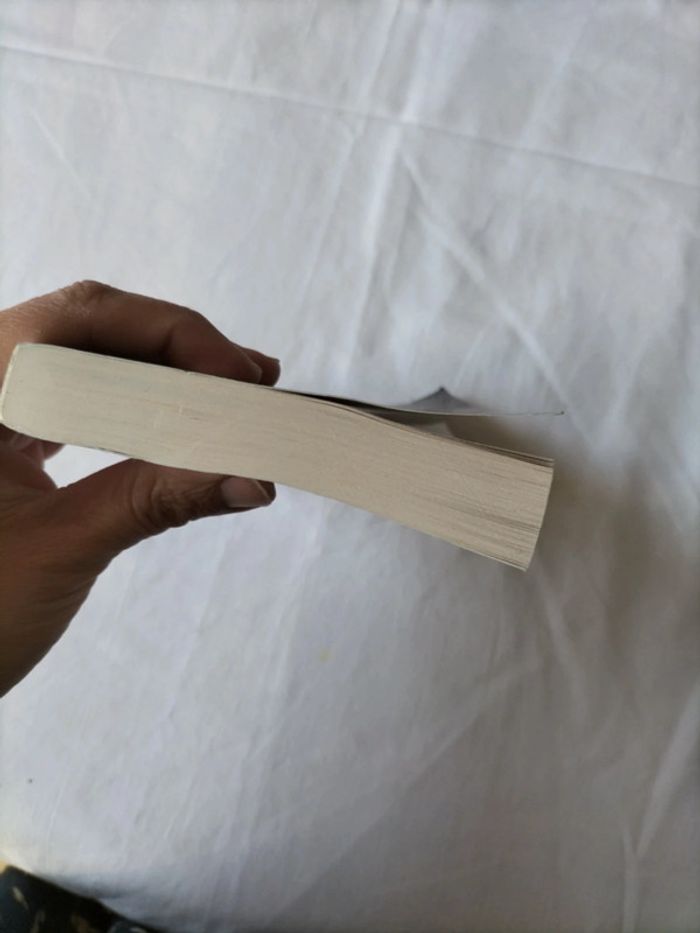 L'inconnu de Peyrolles - photo numéro 5