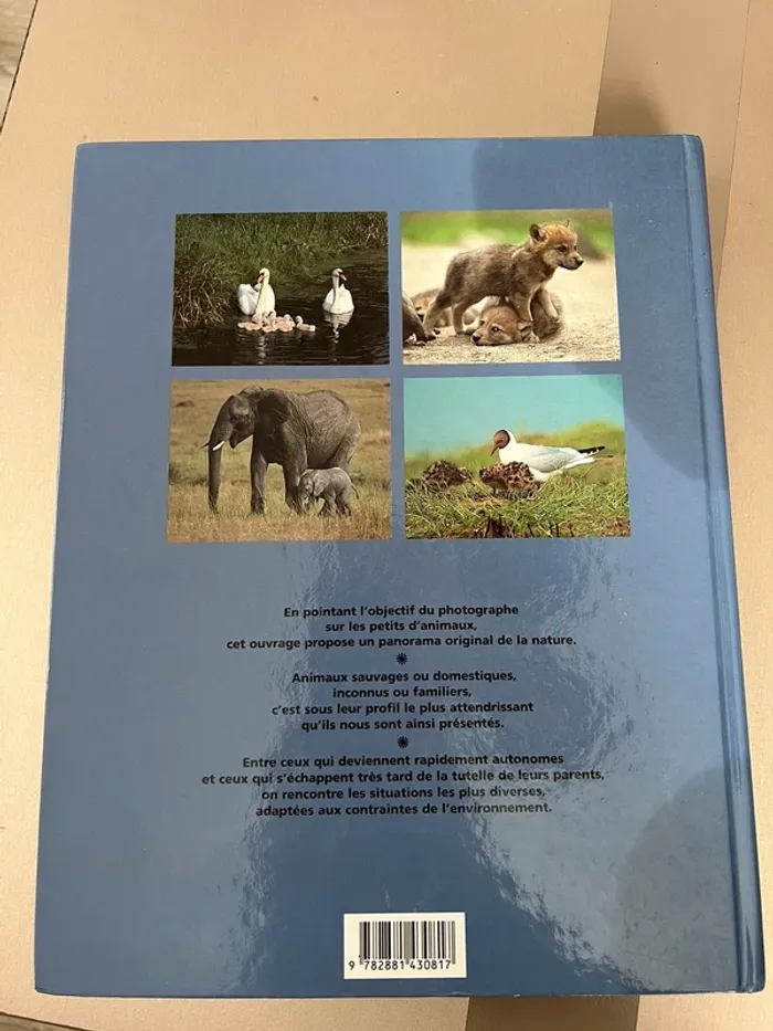 Livre les bébés animaux - photo numéro 2
