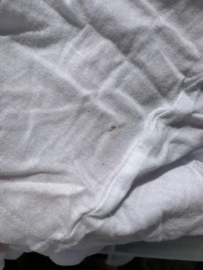 T-shirt blanc - photo numéro 4