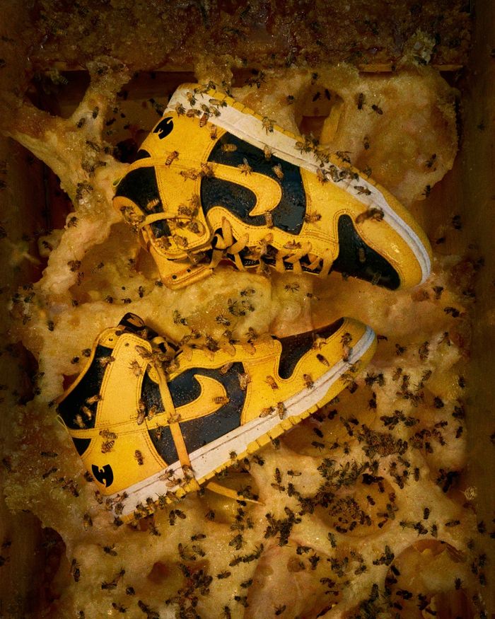 Nike WU-TANG DUNK