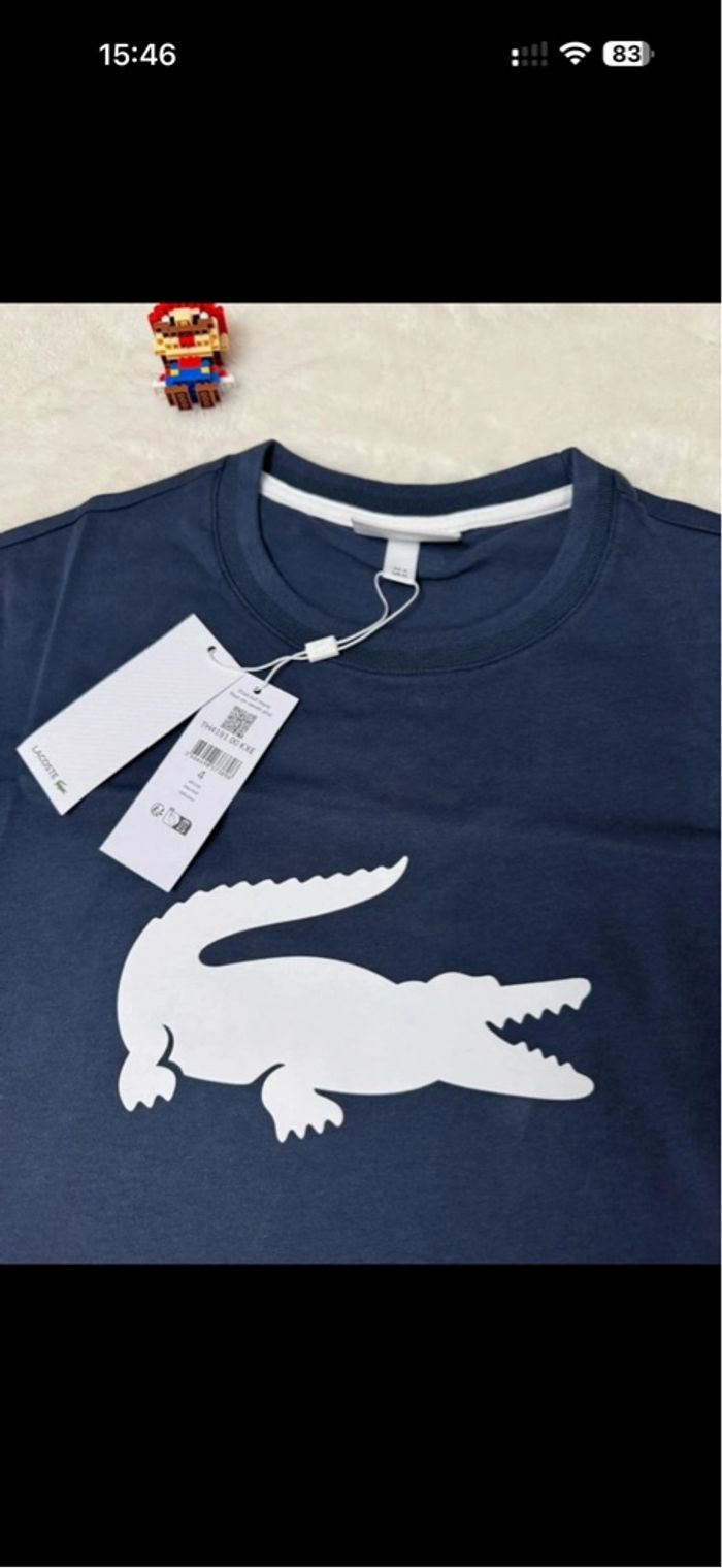 Lot t-Shirt + Sweat Lacoste 🐊 - photo numéro 5