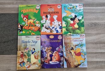 Livre Disney à l'unité ou en lot