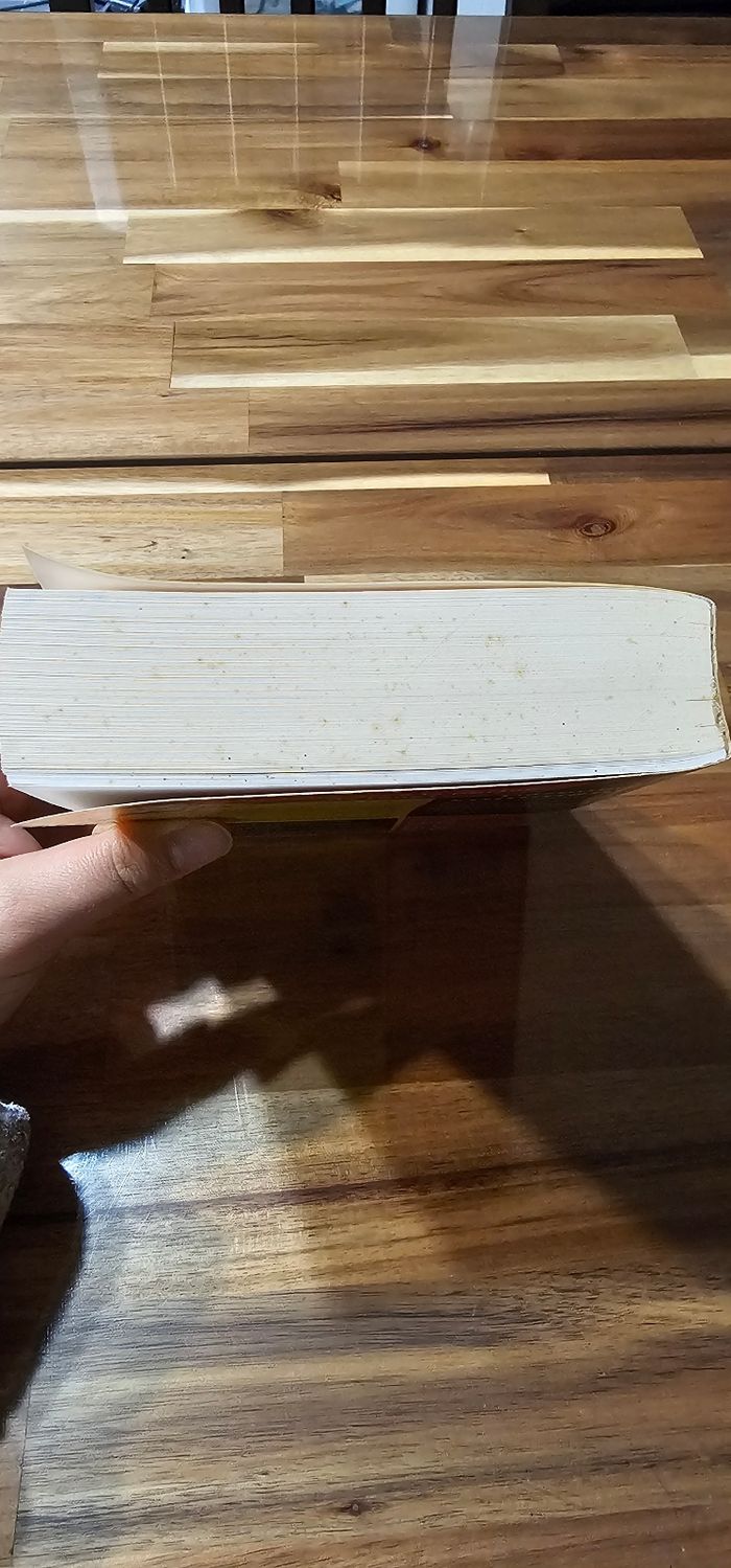 L'histoire de France pour les nuls - photo numéro 3