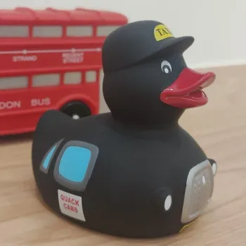 Canard collector Yarto Designer