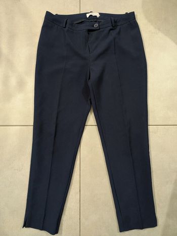 Pantalon habillé Hippocampe