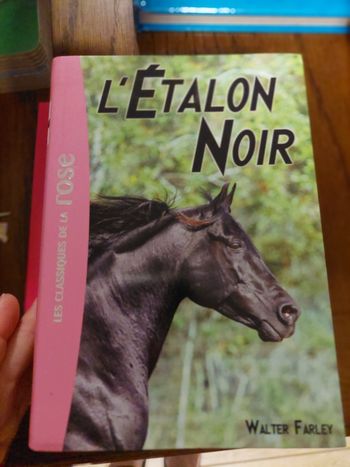 Livre l etalon noir