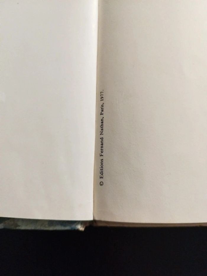 Rare Livre Davy Crockett - photo numéro 3