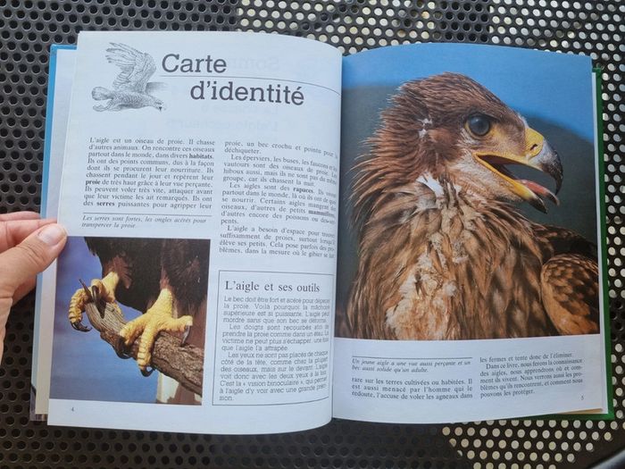 Livre sur les Aigle - photo numéro 3