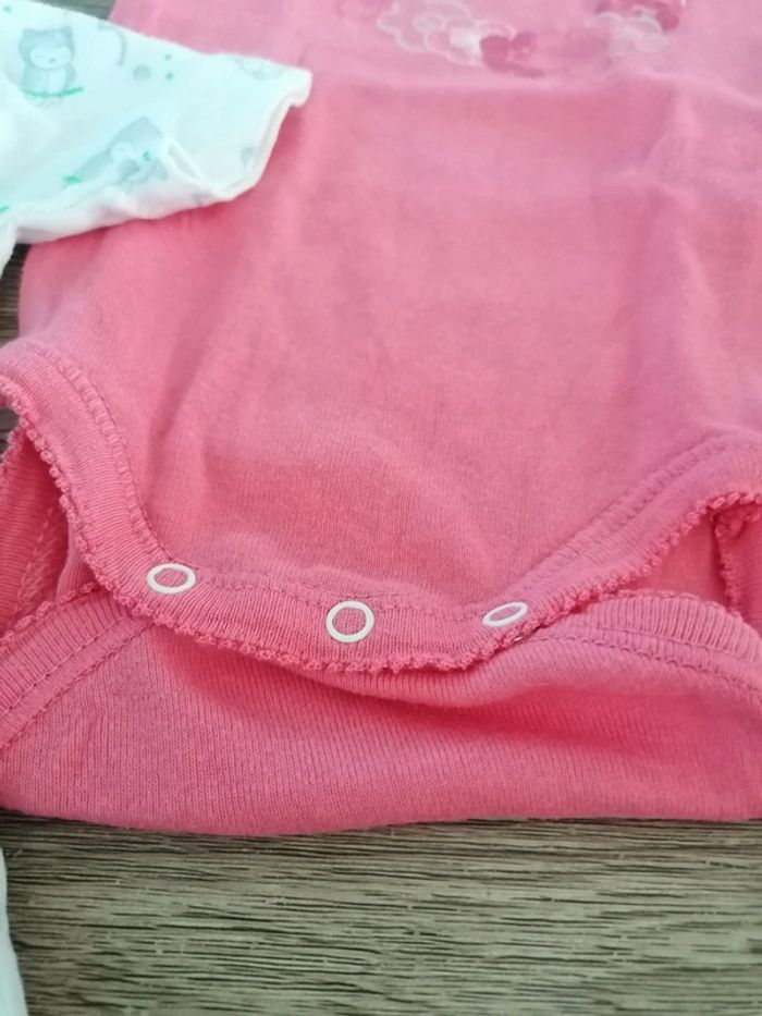 Bodys absorba - photo numéro 7