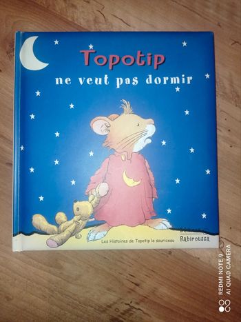 Livre album enfant, Topotip ne veut pas dormir, Éditions Babiroussa
