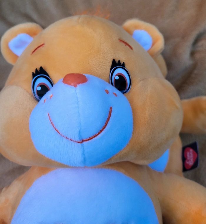 Peluche 30 cm bisounours groscopain care bears - photo numéro 4