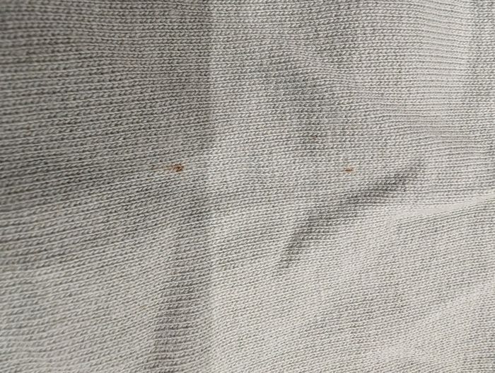 Lot de short - photo numéro 7