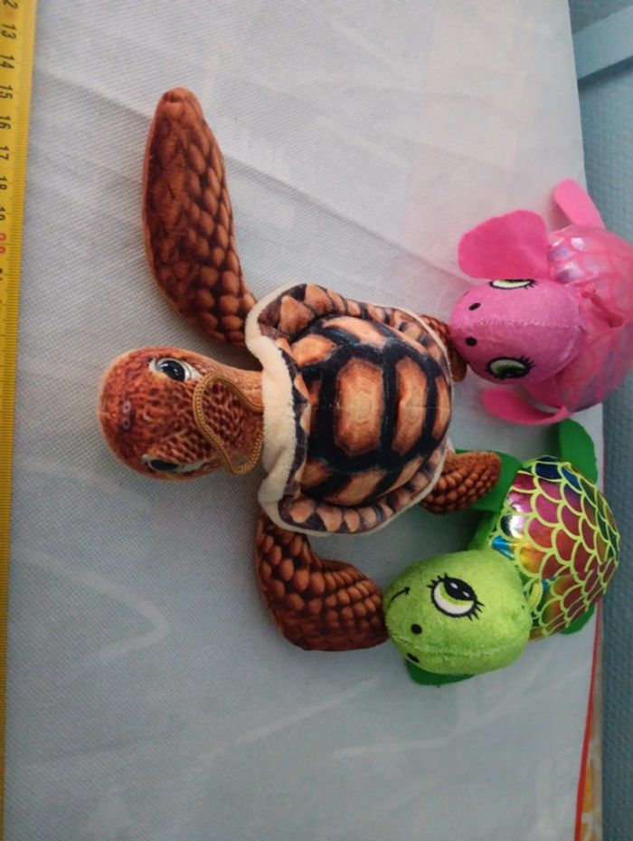 Tortues - photo numéro 2