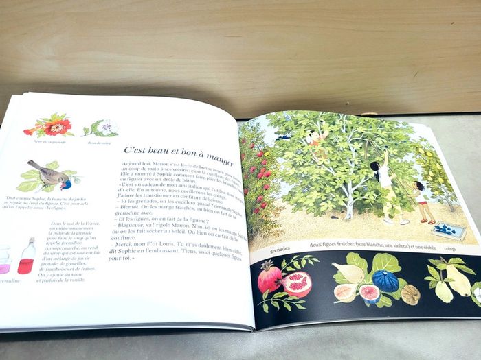 🌺 Livre (école des loisirs) : La fête des fruits - photo numéro 2