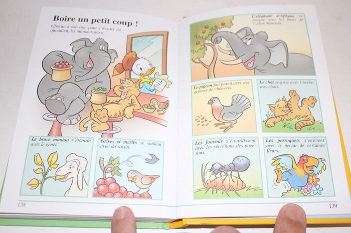 Disney Manuel des Castors Juniors n°3 Le guide la nature - photo numéro 4